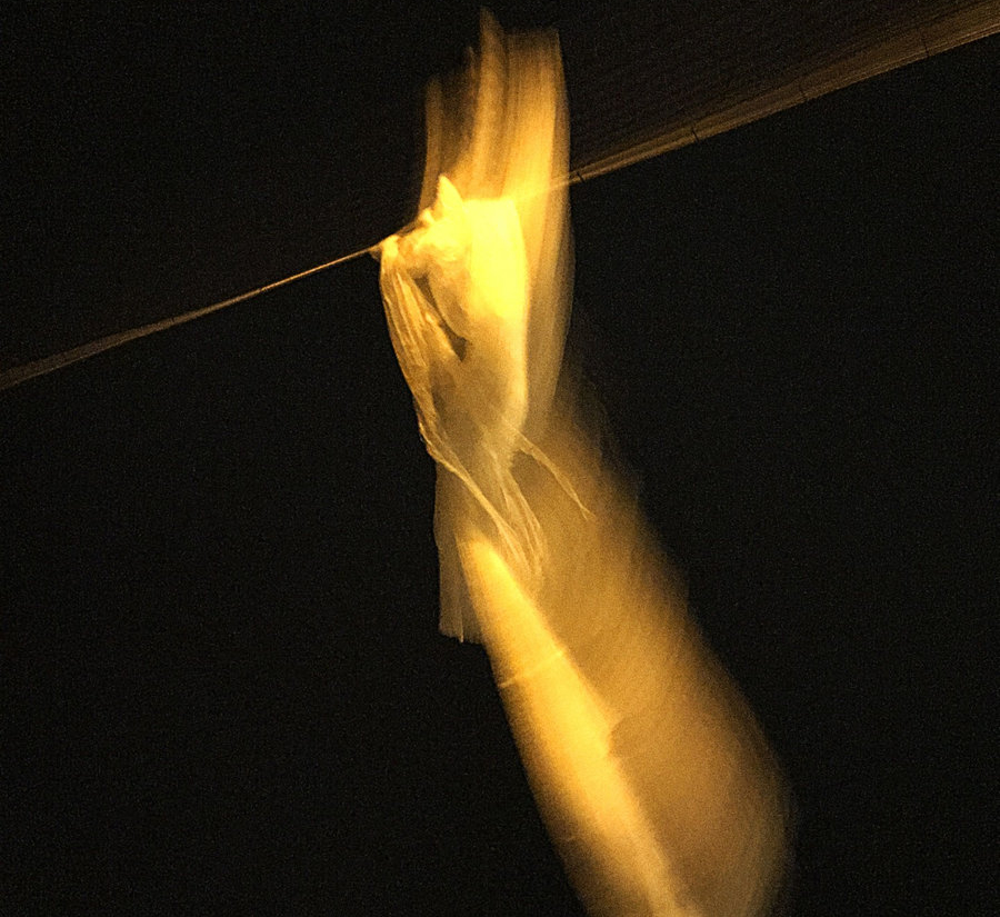 Catch & Release - Shane Latimer