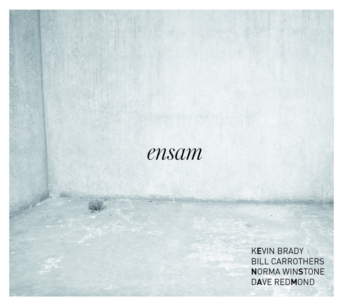 Ensam - Kevin Brady Trio