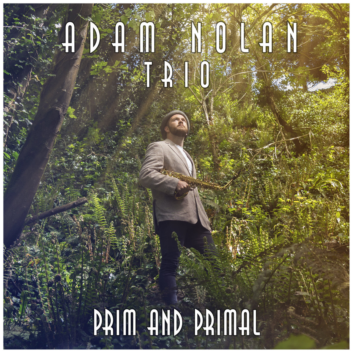 Prim and Primal - Adam Nolan Trio