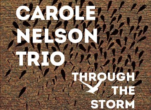 Carole Nelson Trio to Release Through the Storm on Livia Records