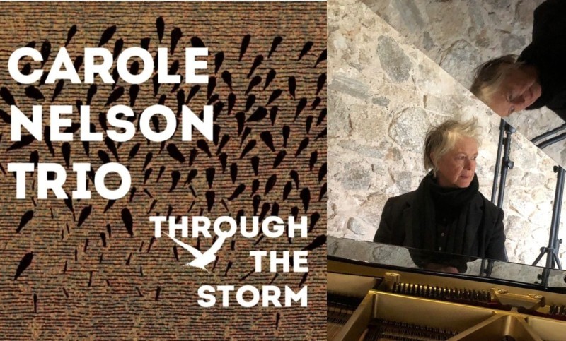 Carole-nelson-cover-image-through-the-storm.jpg