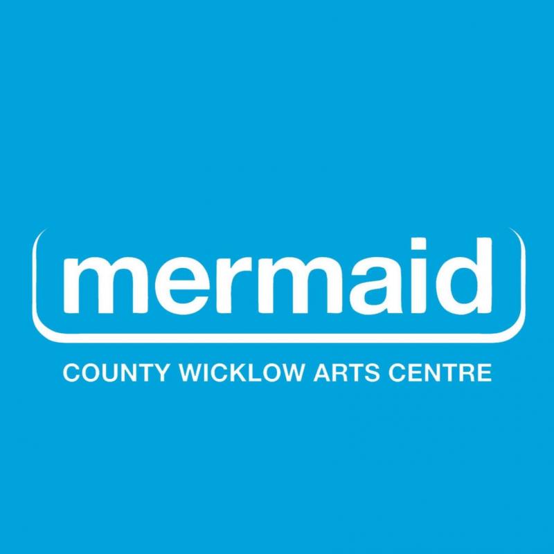 The Mermaid Arts Centre